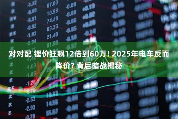对对配 锂价狂飙12倍到60万! 2025年电车反而降价? 背后暗战揭秘