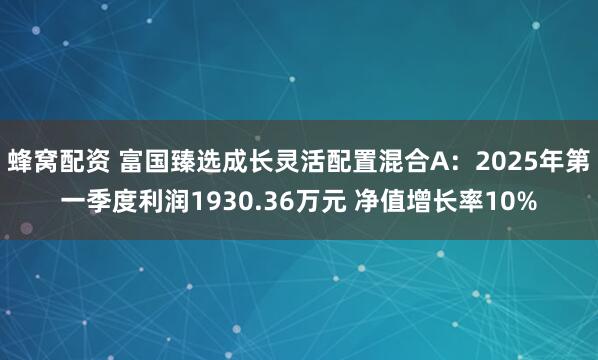 蜂窝配资 富国臻选成长灵活配置混合A：2025年第一季度利润1930.36万元 净值增长率10%