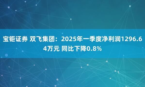宝钜证券 双飞集团：2025年一季度净利润1296.64万元 同比下降0.8%
