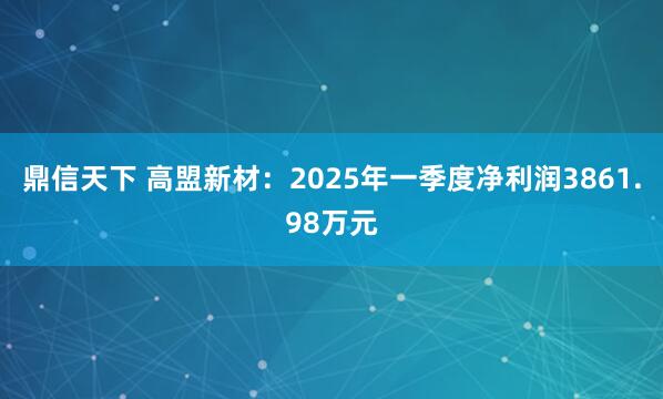 鼎信天下 高盟新材:2025年一季度净利润3861.98万元